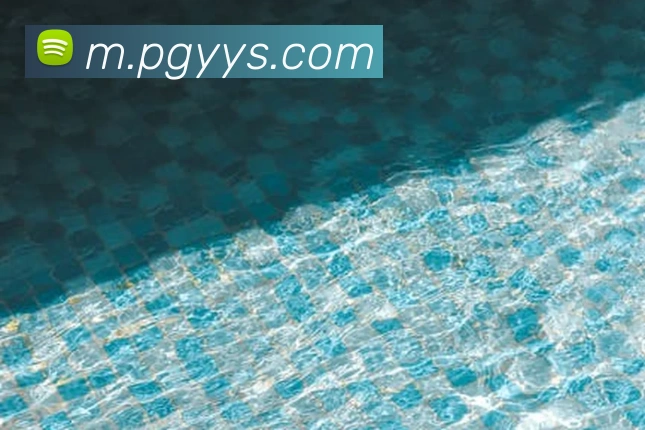 多媒体互动体验